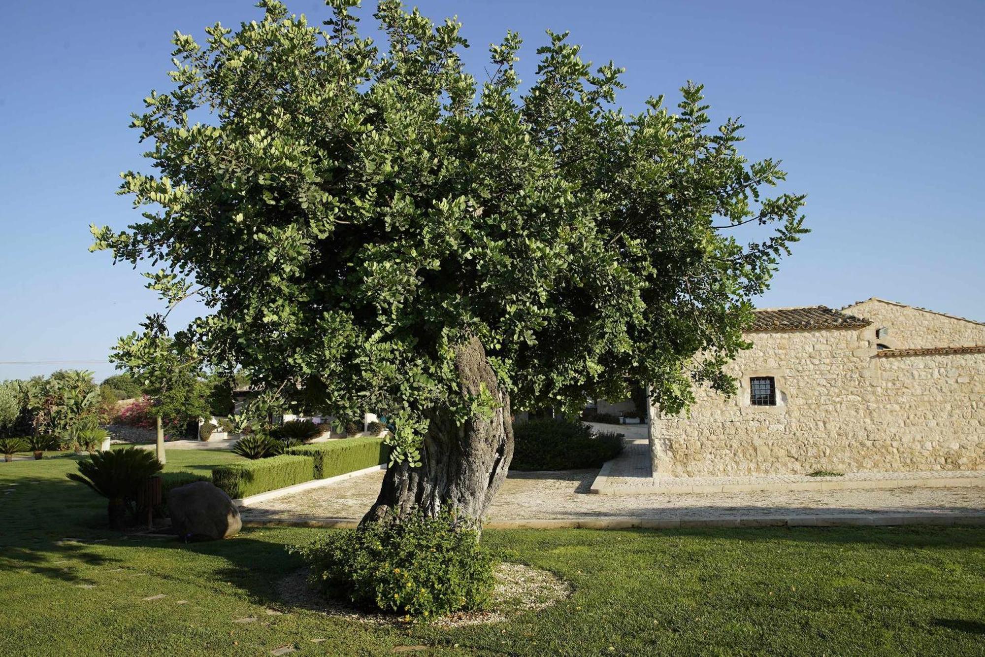 Torre Dantona Country Suites Pozzallo Exterior foto